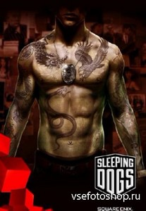 Sleeping Dogs - Limited Edition v 2.0.437044 (2012/Rus/Eng/MULTi7/PC) Steam ...