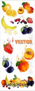   , , , ,  / Fruits vector, apricot, banana, plum, strawberry