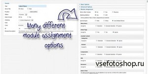 Nonumber - Advanced Module Manager Pro v4.4.8 for Joomla 2.5 - 3.x