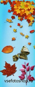 Scrap Set - Autumn - leaves PNG Files