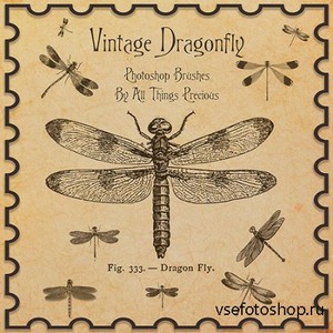 ABR Brushes - Vintage Dragonfly