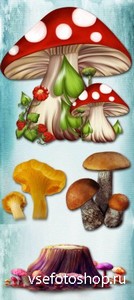 Mushrooms PNG Files