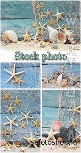   / Marine backgrounds, fishing nets and seashells - Raster clipart
