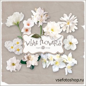 Scrap Set - White Flowers PNG Files
