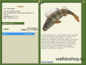   Installsoft Edition 3.7 (2013/Rus)