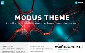 WrapBootstrap - MODUS - Multipurpose Theme