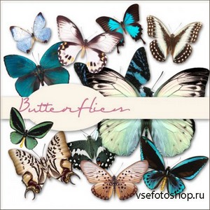 Scrap Set - Butterflies 1 PNG Files