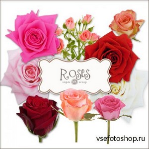 Scrap Set - Roses PNG Files