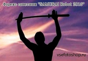   SAMURAI Robot 2013