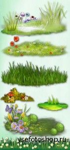 Lawn with Flowers PNG Files