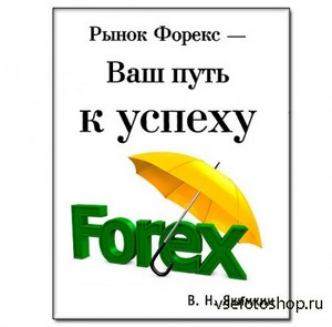 Рынок Forex Ваш путь к успеху Книга В.Якимкин