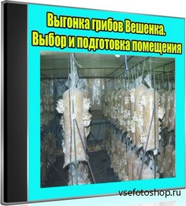 Выгонка грибов Вешенка. Выбор и подготовка помещения (2013) DVDRip