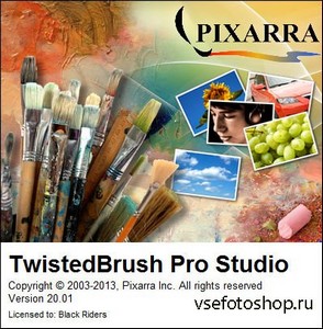 TwistedBrush Pro Studio 20.01