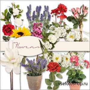 Scrap Kit - Flowers 5 PNG Files