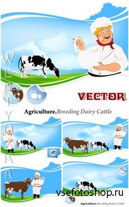 Агрокультура, молочное скотоводство / Breeding dairy cattle - vector clipar ...