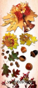 Autumn Leaves 2 PNG Files