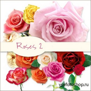 Roses 2 PNG Files