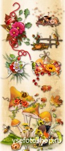 Autumn Decor PNG and JPG Files