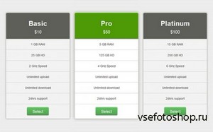 WrapBootstrap - Corporate Pricing Table