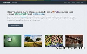 WrapBootstrap - Chameleon - Slick Portfolio Template