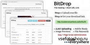 CodeCanyon - BitDrop v1.4 - File Hosting with Short URL Link