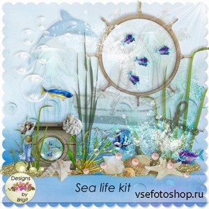 Scrap Set - Sea Life PNG and JPG Files