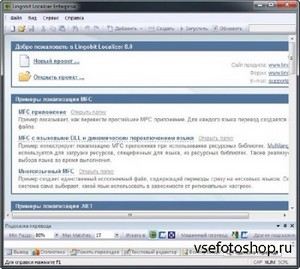 Lingobit Localizer Enterprise 8.0.8053