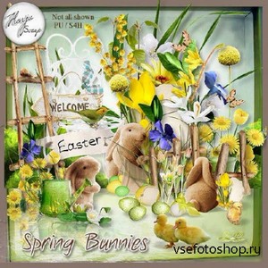 - - Spring Bunnies