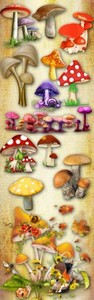 It's time to Mushrooms PNG Files