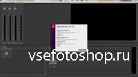 Adobe CS6 Master Collection Update 06.11.2013 (RUS/ENG)