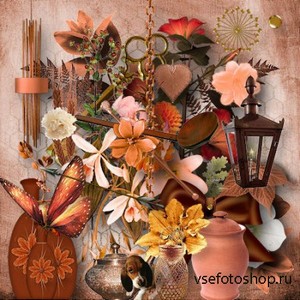 Beautiful Scrap Set PNG and JPG Files