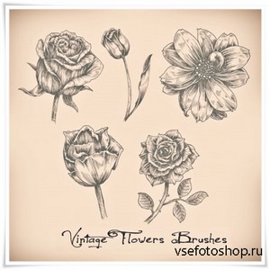 Vintage Flowers High Res Photoshop Brushes