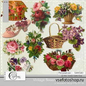 Vintage Flowers Illustrations 3 PNG Files