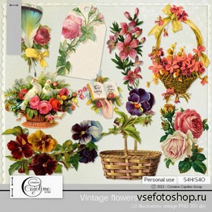 Vintage Flowers Illustrations 4 PNG Files