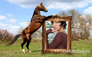 Рамка psd - Лошадь держит ваше фото