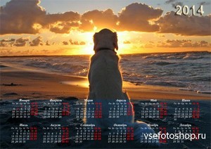 Настенный календарь - Собачка на песке любуется закатом