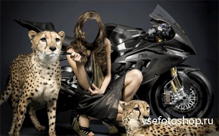  Шаблон psd женский - Фото с дикими гепардами у скоростного байка 
