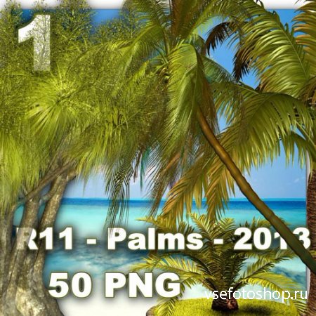 Palms 1 PNG Files