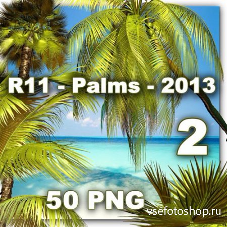 Palms 2 PNG Files