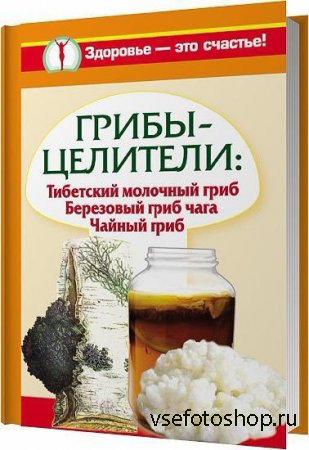 Грибы-целители. Тибетский молочный гриб. Березовый гриб чага. Чайный гриб / Чуднова Анна / 2010