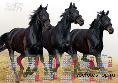 Красивый календарь - 3 черных коня