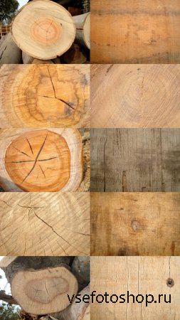 Wooden Texture Slices JPG Files