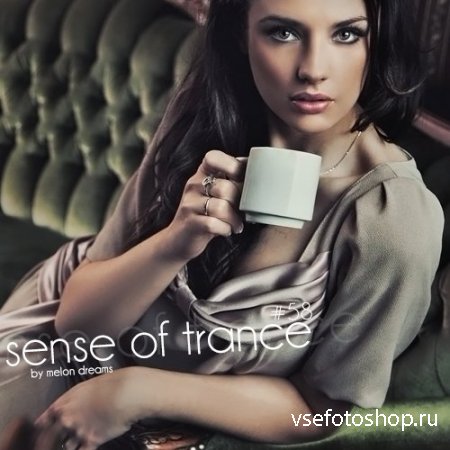 Sense Of Trance #58 (2013)