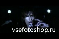 Aerosmith -    (DVDRip)