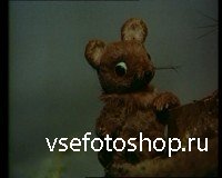    -   (1946-1986/DVD5)