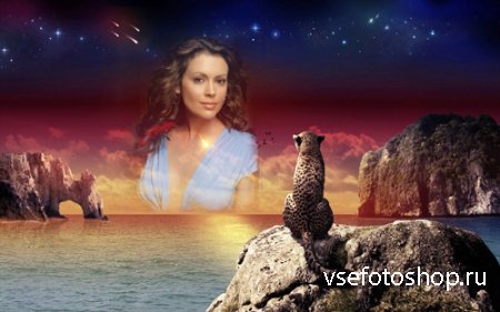 Фоторамка - Леопард на камнях у моря любуется вашим фото