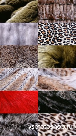 Textuers Fur and Skin JPG Files