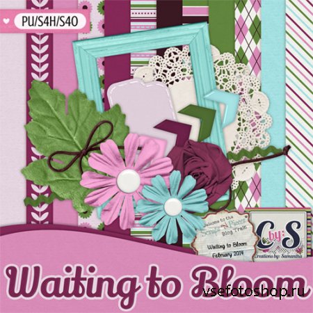 Waiting to Bloom JPG and PNG Files