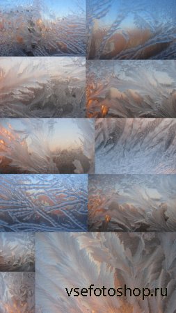 Ice Flowers Textures JPG Files