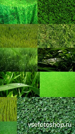 Grass Textures Set 1 JPG Files